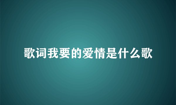 歌词我要的爱情是什么歌