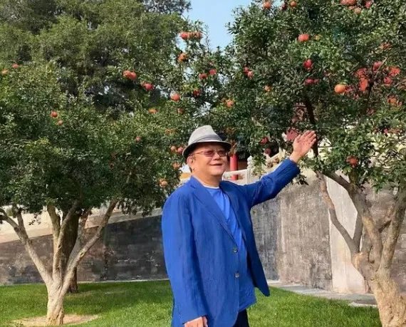 因拒绝生孩子被王刚抛弃的成方圆,后来是怎样报复的?