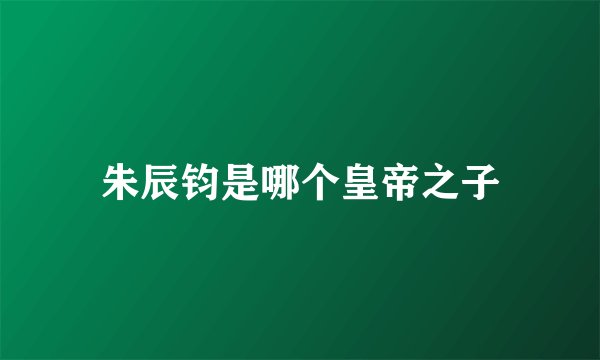 朱辰钧是哪个皇帝之子