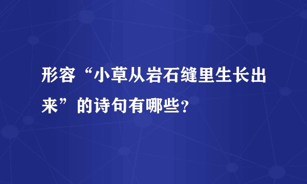 形容“小草从岩石缝里生长出来”的诗句有哪些？