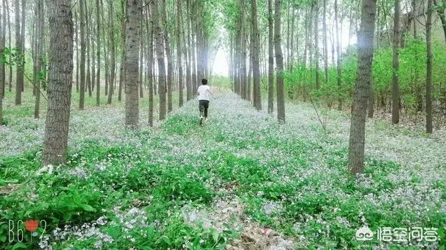 diy服装的创意有哪些?