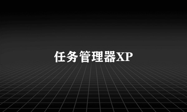 任务管理器XP