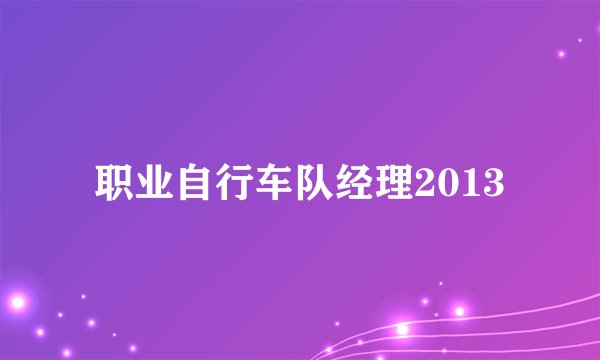 职业自行车队经理2013