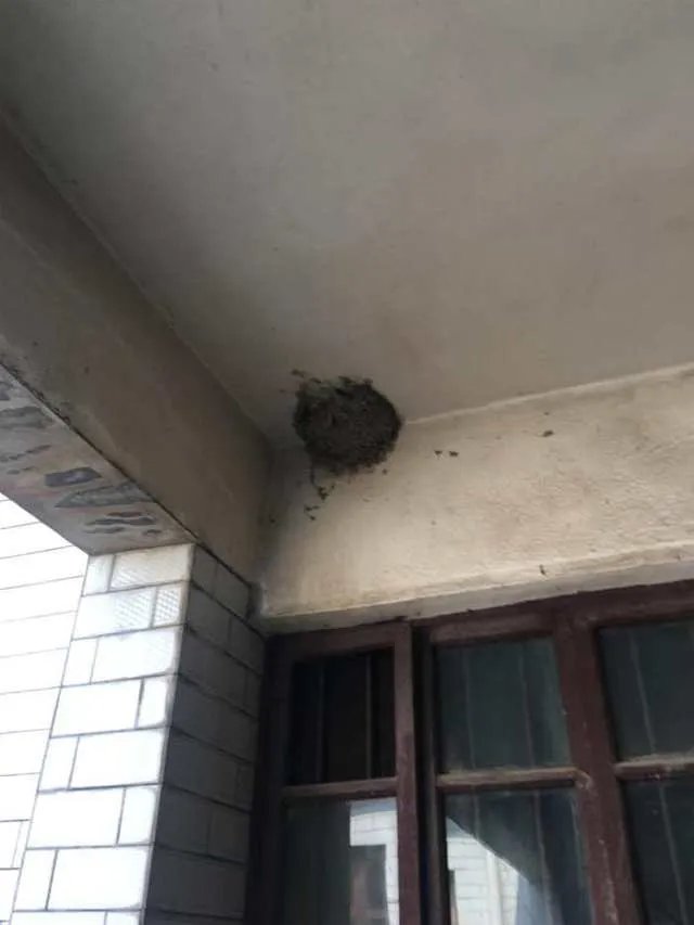 八九十年代的家装风格原来长这样,看看你家还保留了哪些旧家具