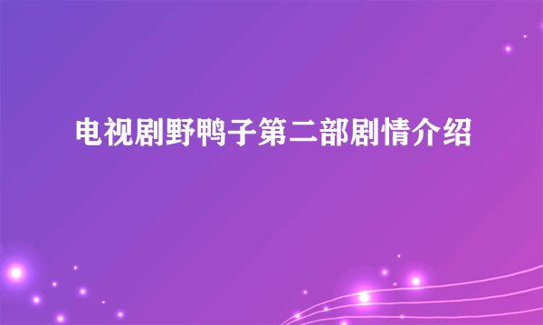 电视剧野鸭子第二部剧情介绍