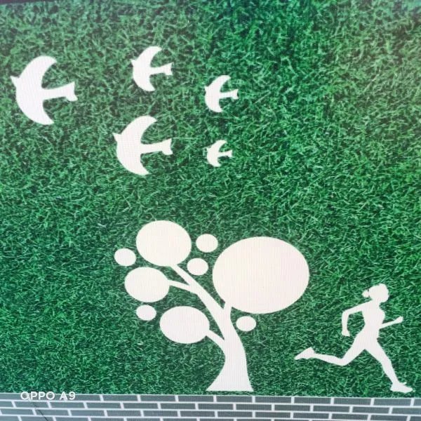 计划在家里健身,跑步和自行车哪个更好呢?