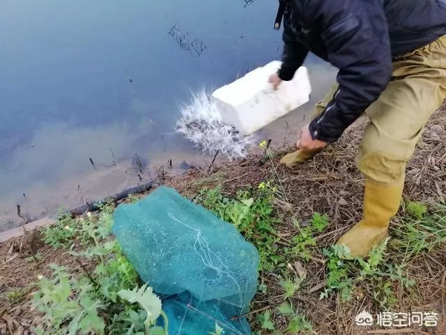 有人说现在全国各地都在扩养小龙虾,现在入市还来得及吗?