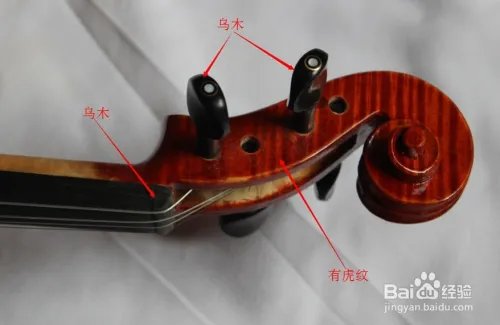 如何选购小提琴?初学者怎样选择小提琴?
