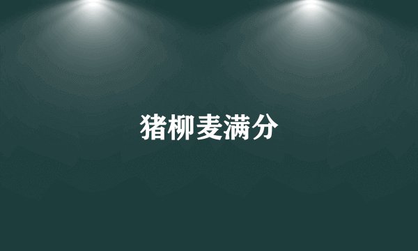 猪柳麦满分