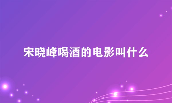 宋晓峰喝酒的电影叫什么