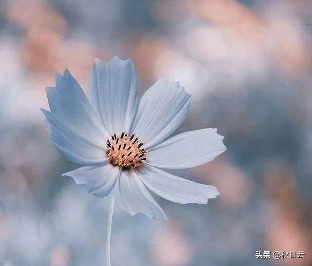 看到女孩抽烟，你的第一想法是什么？