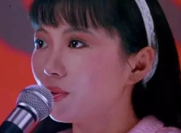 程琳风雨兼程歌曲点评
