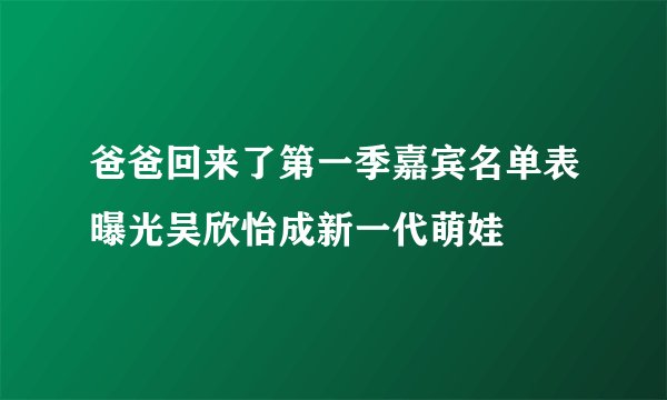 爸爸回来了第一季嘉宾名单表曝光吴欣怡成新一代萌娃