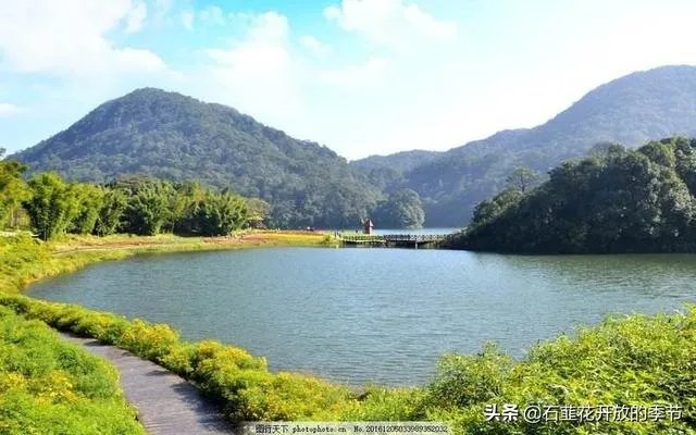 癌症晚期是独自离家出走留一份遗书不拖累家人,还是跟家人度过最后的日子?