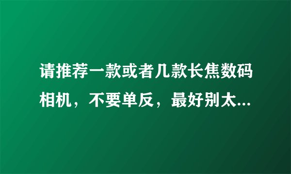请推荐一款或者几款长焦数码相机,不要单反,最好别太贵。谢谢了。