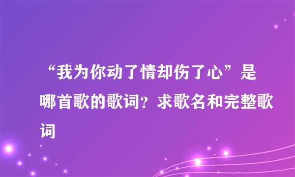 “我为你动了情却伤了心”是哪首歌的歌词？求歌名和完整歌词