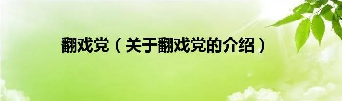 翻戏党（关于翻戏党的介绍）