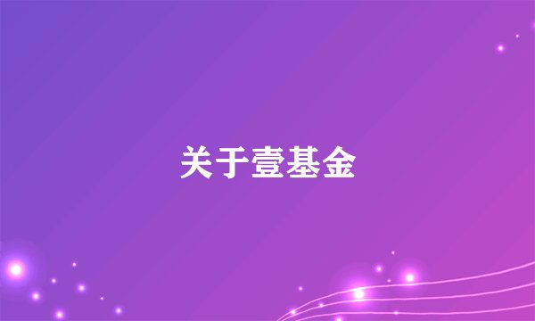 关于壹基金