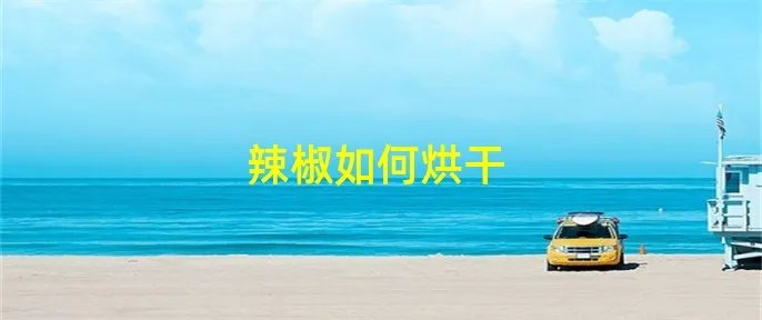 辣椒如何烘干