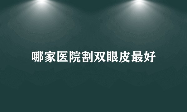 哪家医院割双眼皮最好