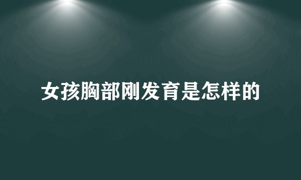 女孩胸部刚发育是怎样的