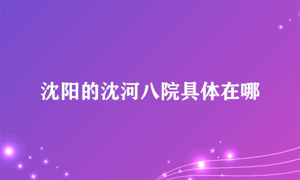 沈阳的沈河八院具体在哪