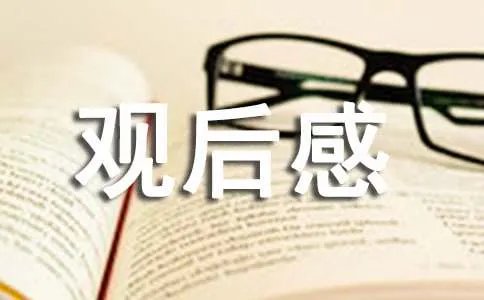 冰雪公主观后感