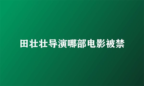田壮壮导演哪部电影被禁
