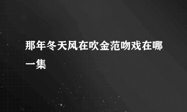 那年冬天风在吹金范吻戏在哪一集