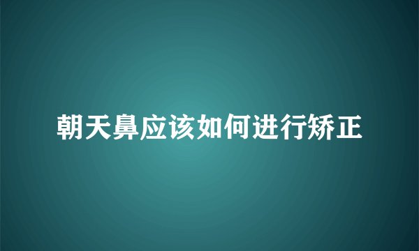 朝天鼻应该如何进行矫正