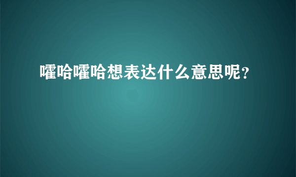 嚯哈嚯哈想表达什么意思呢？