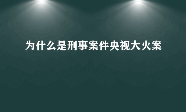 为什么是刑事案件央视大火案