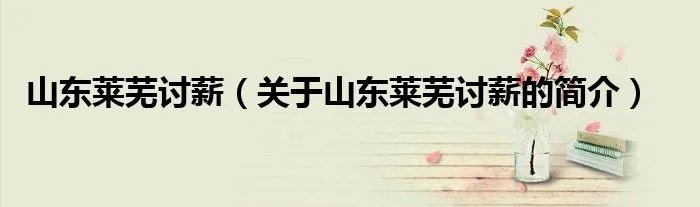 山东莱芜讨薪（关于山东莱芜讨薪的简介）