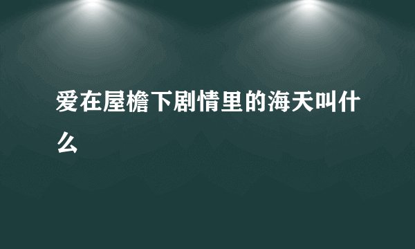 爱在屋檐下剧情里的海天叫什么