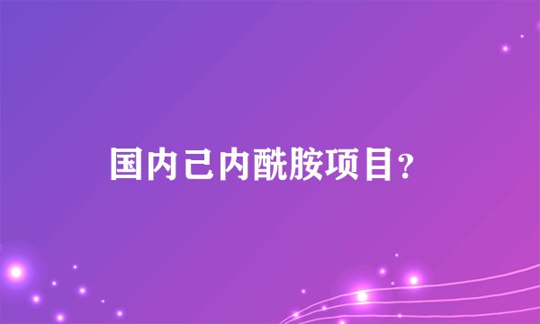 国内己内酰胺项目？
