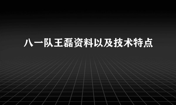 八一队王磊资料以及技术特点