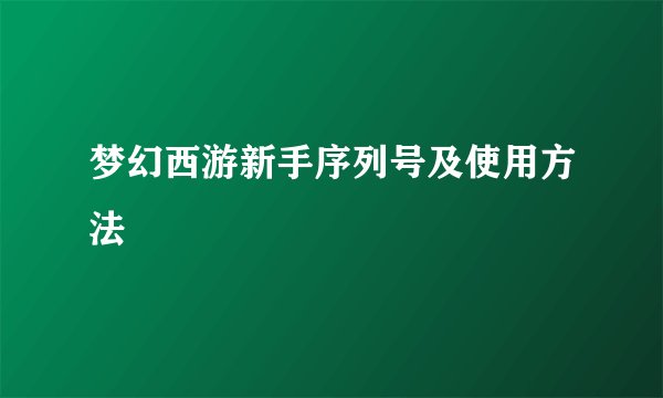 梦幻西游新手序列号及使用方法