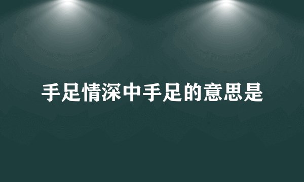 手足情深中手足的意思是