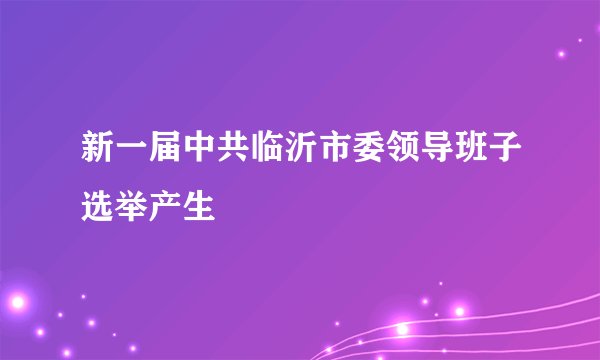 新一届中共临沂市委领导班子选举产生