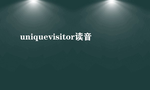 uniquevisitor读音