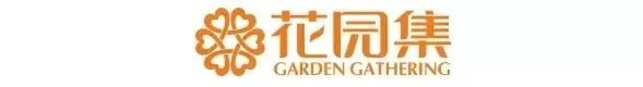 图片精选 | 小清新的木平台