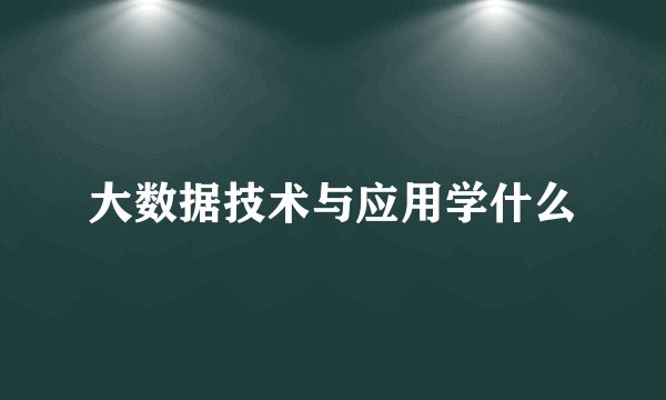 大数据技术与应用学什么