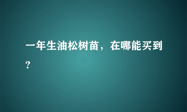 一年生油松树苗，在哪能买到？