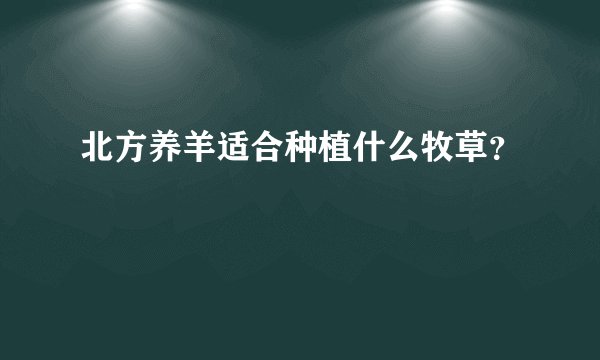 北方养羊适合种植什么牧草？