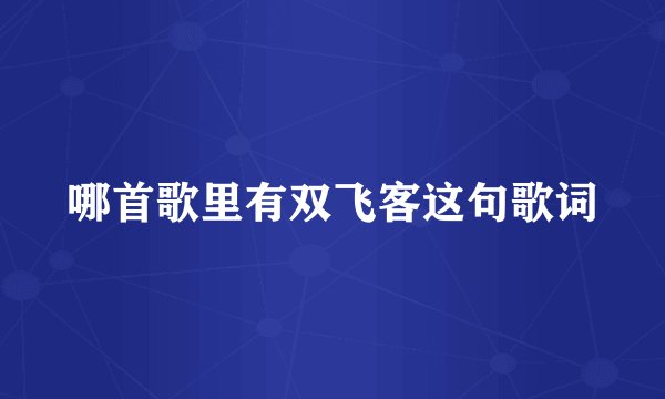哪首歌里有双飞客这句歌词