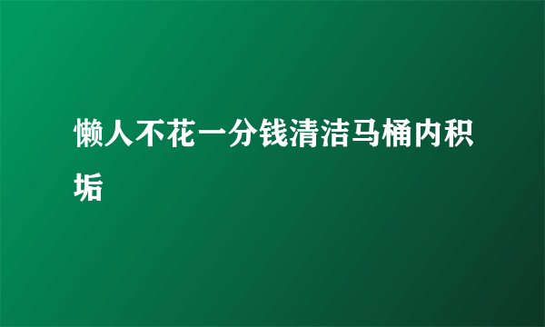 懒人不花一分钱清洁马桶内积垢