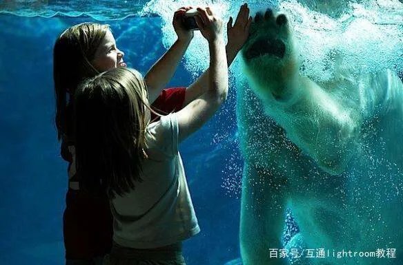 儿童摄影怎么拍摄,有什么拍摄技巧?