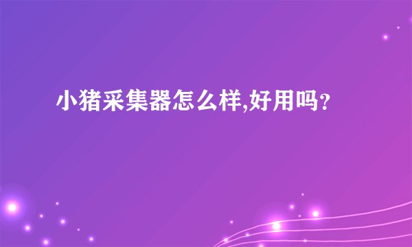 小猪采集器怎么样,好用吗?