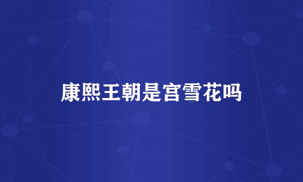 康熙王朝是宫雪花吗