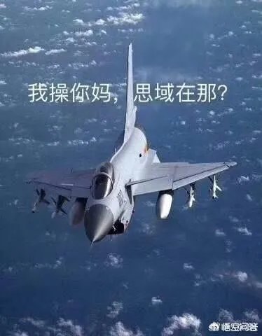 思域是个什么梗?